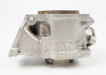 Junior Rotax Max EVO ZG Engine Cylinder / Barrel