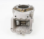 Junior Rotax Max EVO ZG Engine Cylinder / Barrel