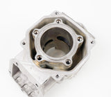 Junior Rotax Max EVO ZG Engine Cylinder / Barrel