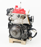 Senior Rotax Max JAG Sealed EVO Engine MG Cylinder
