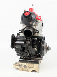 Senior Rotax Max JAG Sealed EVO Engine MG Cylinder