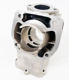 Junior Rotax Max EVO RK Engine Cylinder / Barrel