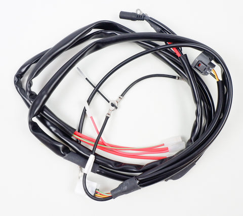 Genuine Rotax Max Pre-EVO Wiring Loom / Harness 266125
