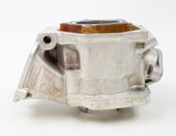Junior Rotax Max FR125 Pre-EVO Engine Barrel / Cylinder with Piston